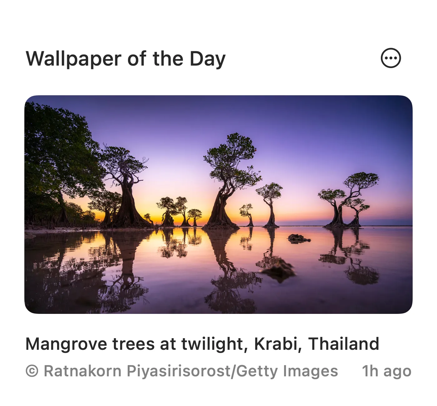 Wallflow popover showing the daily wallpaper